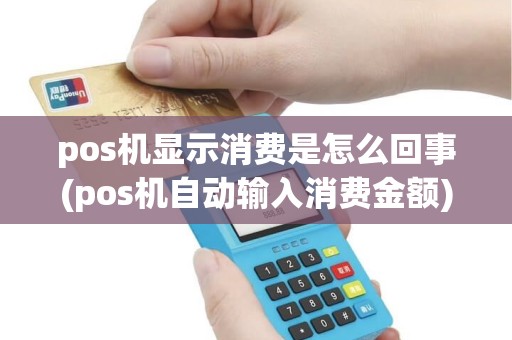 pos机显示消费是怎么回事(pos机自动输入消费金额)
