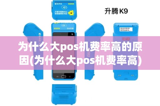为什么大pos机费率高的原因(为什么大pos机费率高)