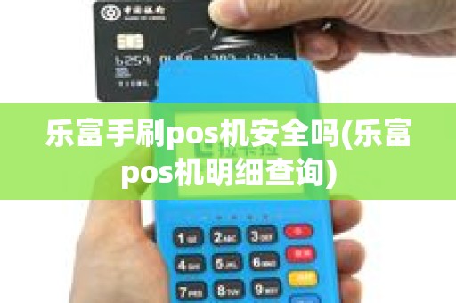 乐富手刷pos机安全吗(乐富pos机明细查询)