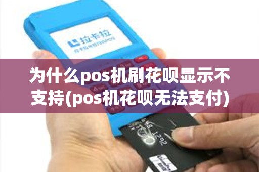 为什么pos机刷花呗显示不支持(pos机花呗无法支付)