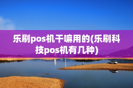 乐刷pos机干嘛用的(乐刷科技pos机有几种)