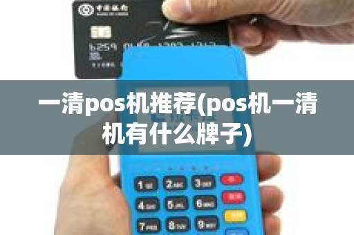 一清pos机推荐(pos机一清机有什么牌子)