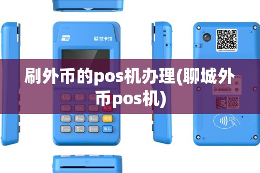 刷外币的pos机办理(聊城外币pos机)
