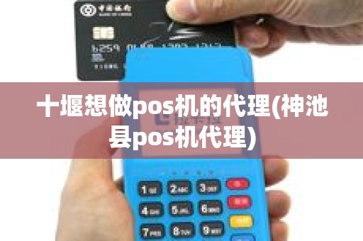 十堰想做pos机的代理(神池县pos机代理)
