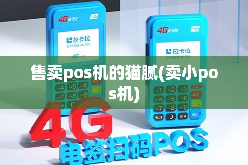 售卖pos机的猫腻(卖小pos机)