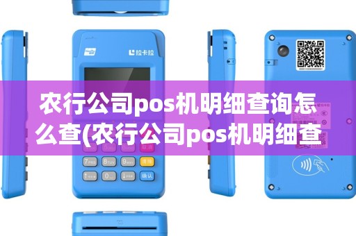 农行公司pos机明细查询怎么查(农行公司pos机明细查询)