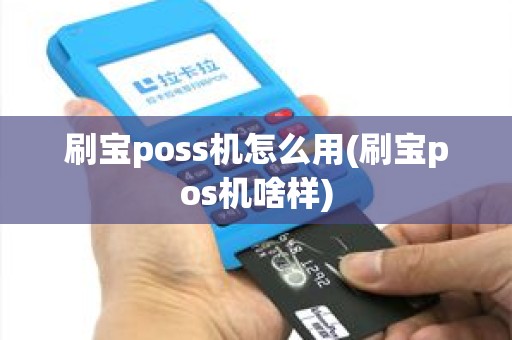 刷宝poss机怎么用(刷宝pos机啥样)