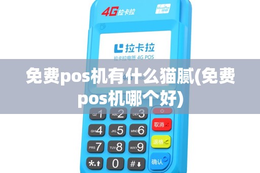 免费pos机有什么猫腻(免费pos机哪个好)