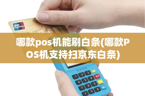 哪款pos机能刷白条(哪款POS机支持扫京东白条)