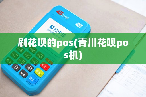 刷花呗的pos(青川花呗pos机)