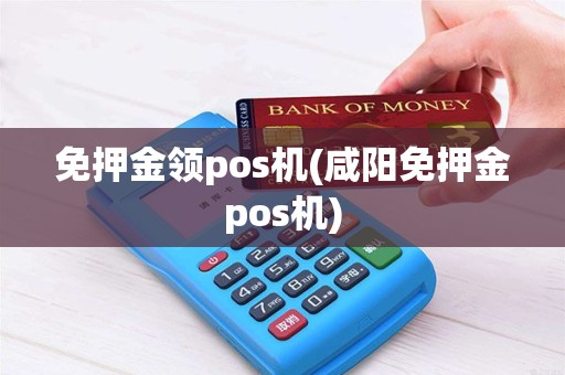 免押金领pos机(咸阳免押金pos机)