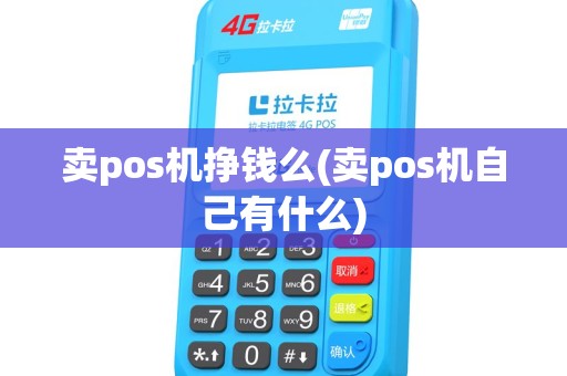 卖pos机挣钱么(卖pos机自己有什么) 卖pos机挣钱么(卖pos机自己有什么)