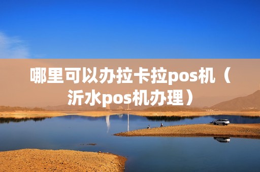 哪里可以办拉卡拉pos机（沂水pos机办理）