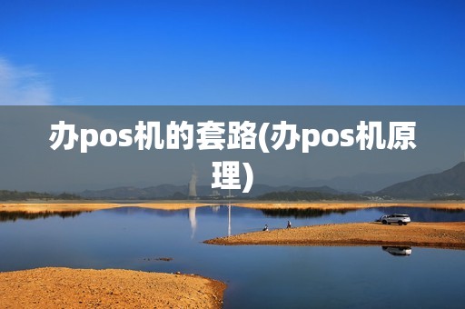 办pos机的套路(办pos机原理)