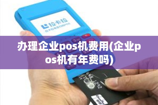 办理企业pos机费用(企业pos机有年费吗)