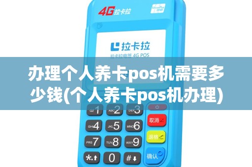 办理个人养卡pos机需要多少钱(个人养卡pos机办理)