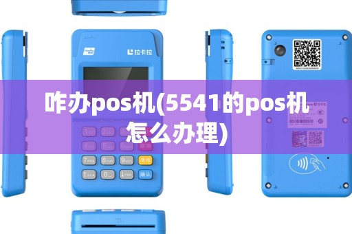 咋办pos机(5541的pos机怎么办理)