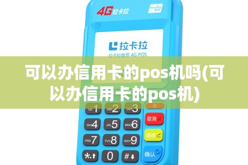 可以办信用卡的pos机吗(可以办信用卡的pos机)