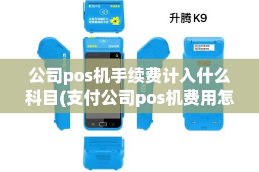 公司pos机手续费计入什么科目(支付公司pos机费用怎么结算)