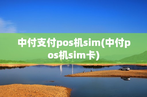 中付支付pos机sim(中付pos机sim卡)