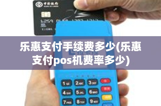 乐惠支付手续费多少(乐惠支付pos机费率多少)