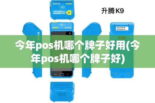 今年pos机哪个牌子好用(今年pos机哪个牌子好)