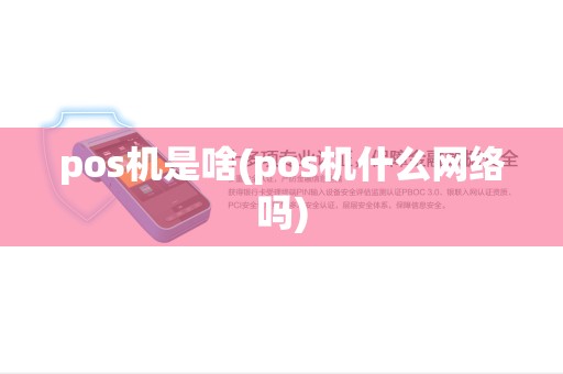 pos机是啥(pos机什么网络吗)