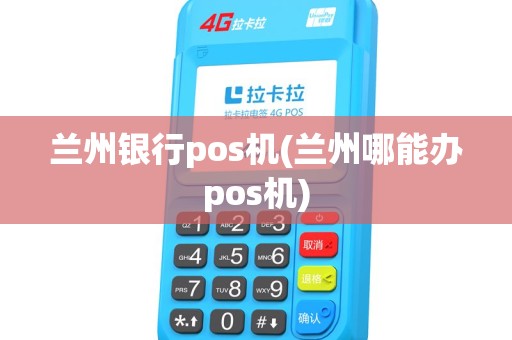 兰州银行pos机(兰州哪能办pos机)