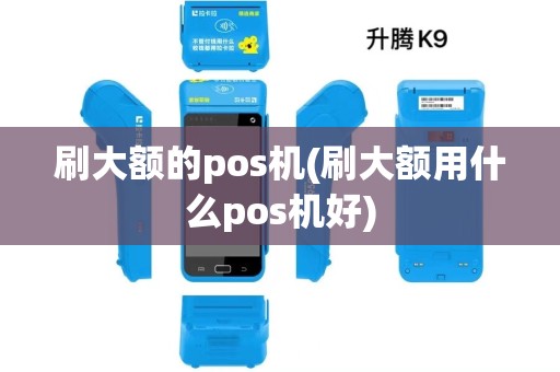 刷大额的pos机(刷大额用什么pos机好)