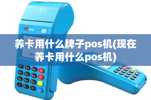 养卡用什么牌子pos机(现在养卡用什么pos机)