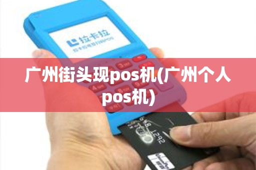 广州街头现pos机(广州个人pos机)