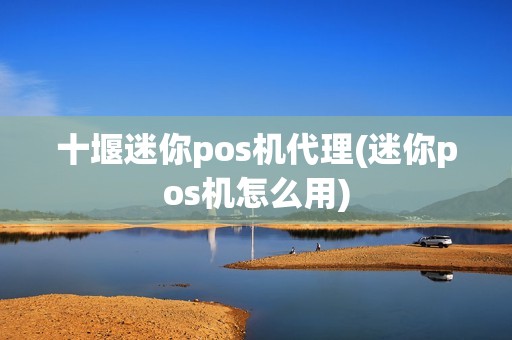 十堰迷你pos机代理(迷你pos机怎么用)