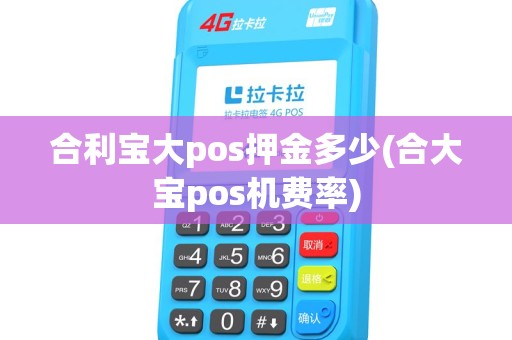 合利宝大pos押金多少(合大宝pos机费率)