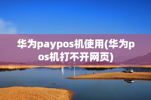 华为paypos机使用(华为pos机打不开网页)