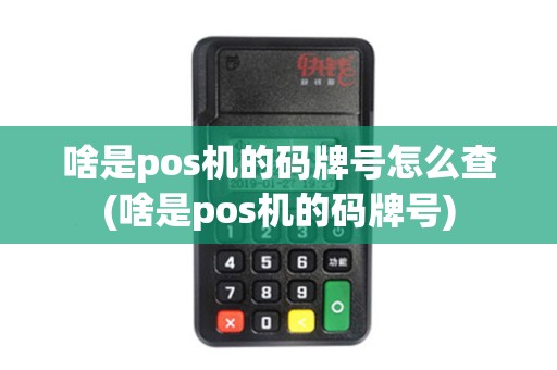 啥是pos机的码牌号怎么查(啥是pos机的码牌号)