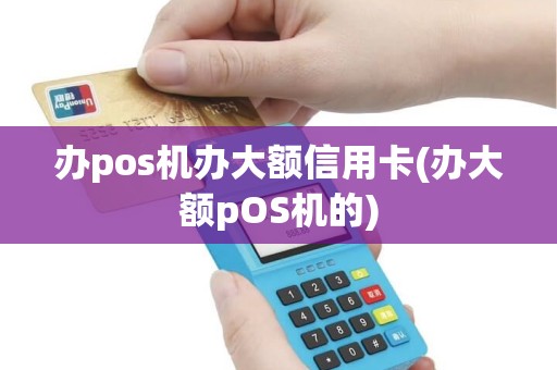 办pos机办大额信用卡(办大额pOS机的)
