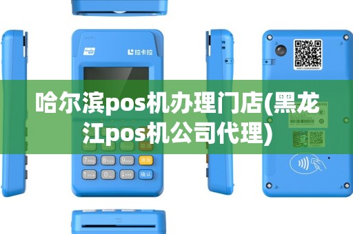 哈尔滨pos机办理门店(黑龙江pos机公司代理)