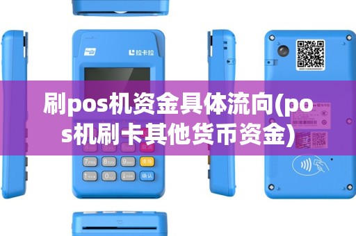 刷pos机资金具体流向(pos机刷卡其他货币资金)