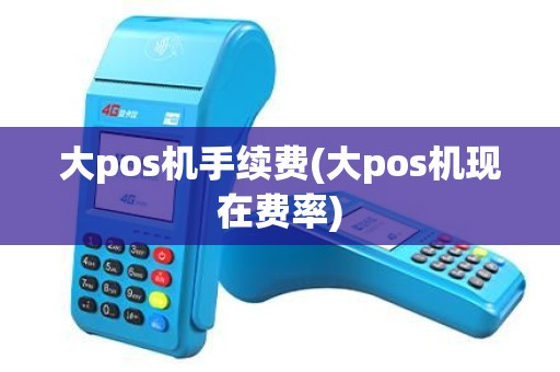 大pos机手续费(大pos机现在费率)