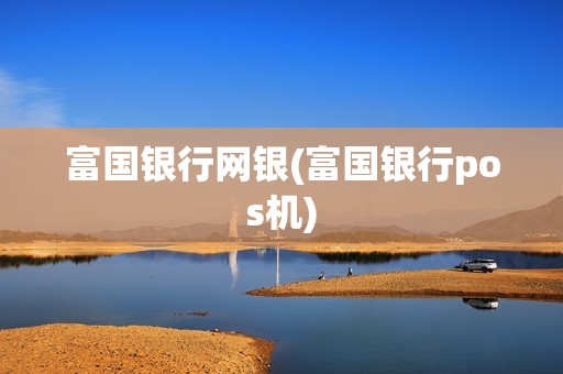 富国银行网银(富国银行pos机)