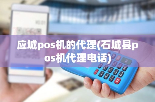 应城pos机的代理(石城县pos机代理电话)