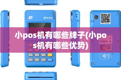 小pos机有哪些牌子(小pos机有哪些优势)