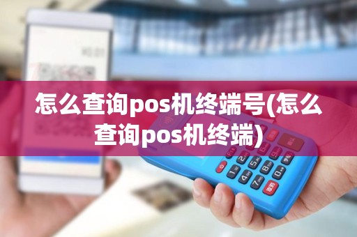 怎么查询pos机终端号(怎么查询pos机终端)
