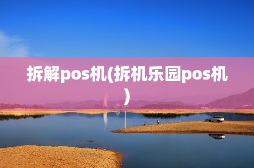 拆解pos机(拆机乐园pos机)