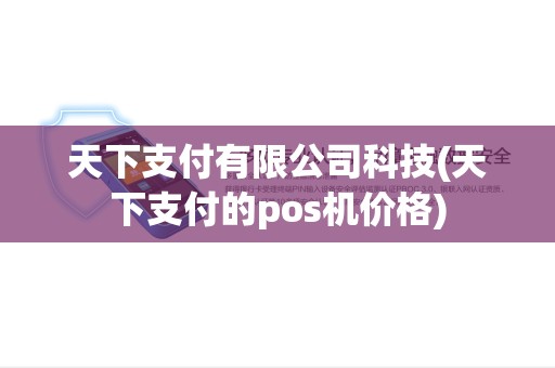 天下支付有限公司科技(天下支付的pos机价格)