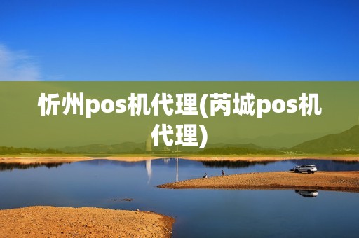 忻州pos机代理(芮城pos机代理)