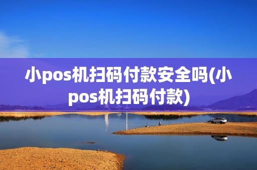 小pos机扫码付款安全吗(小pos机扫码付款)