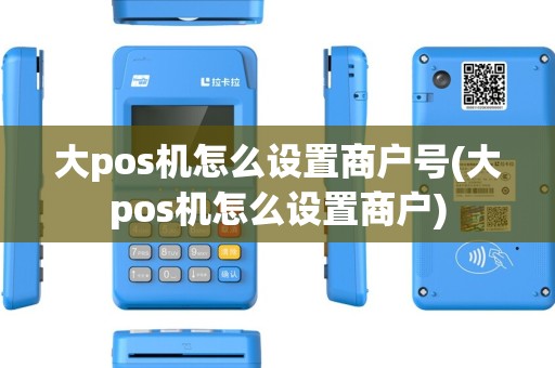 大pos机怎么设置商户号(大pos机怎么设置商户)