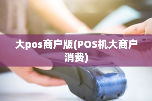大pos商户版(POS机大商户消费)