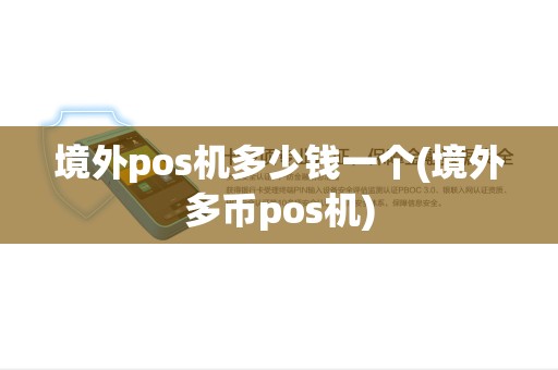 境外pos机多少钱一个(境外多币pos机)
